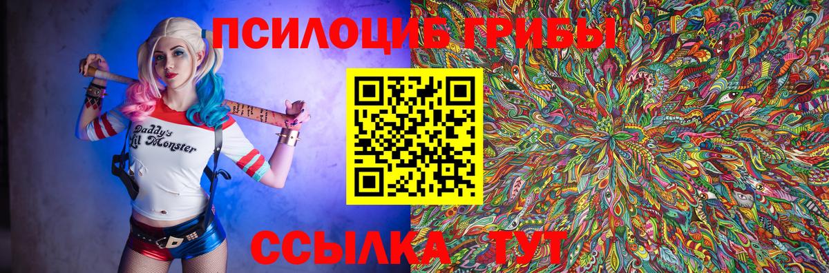 Белорецк  Псилоцибиновые грибы Psilocybine cubensis  Вход с VPN 