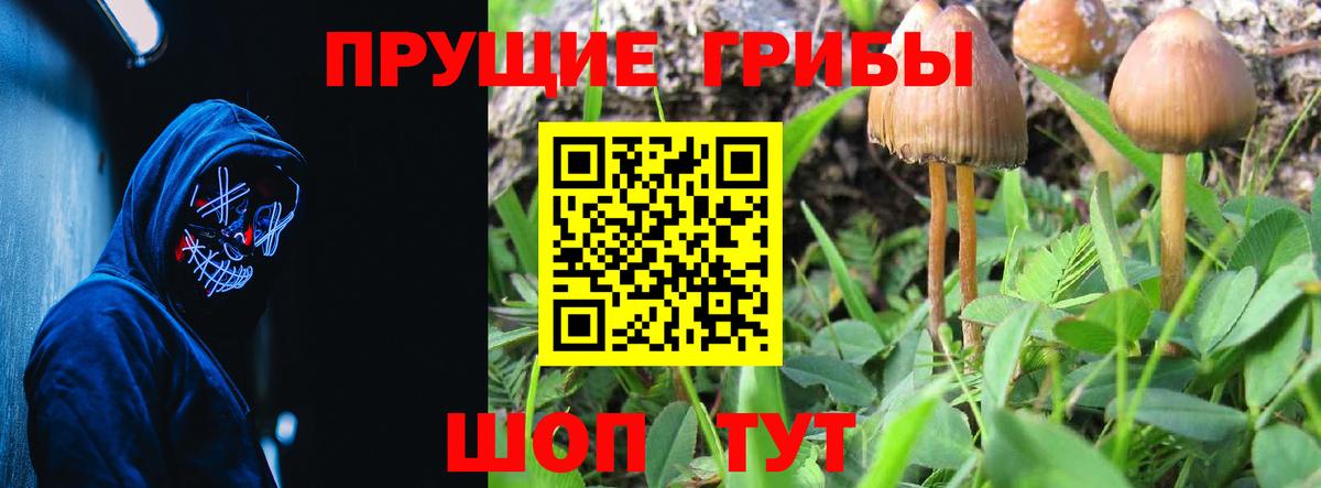 Псилоцибиновые грибы Magic Shrooms Белорецк